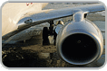 Standard Line 1/4 Turn Fasteners